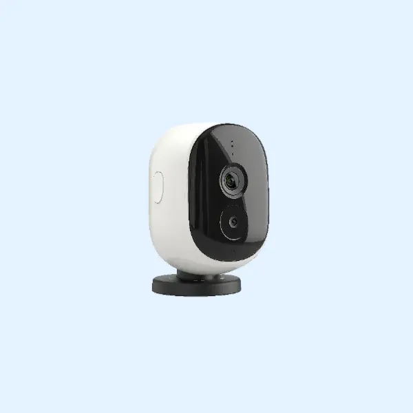 Smart Security & Surveillance